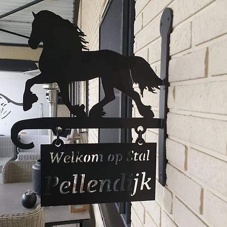 Luxe Gastenkamer Met Living En Keuken Bij Friezen Paarden Stal Pellendijk Westendorp Exteriér fotografie