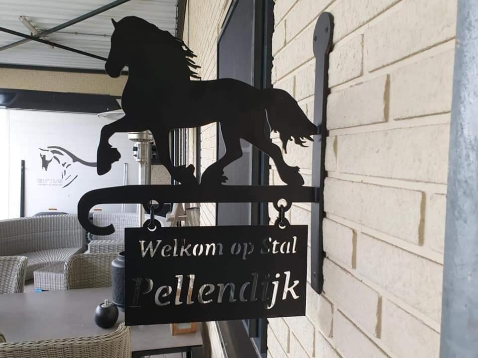 Luxe Gastenkamer Met Living En Keuken Bij Friezen Paarden Stal Pellendijk Westendorp Exteriér fotografie