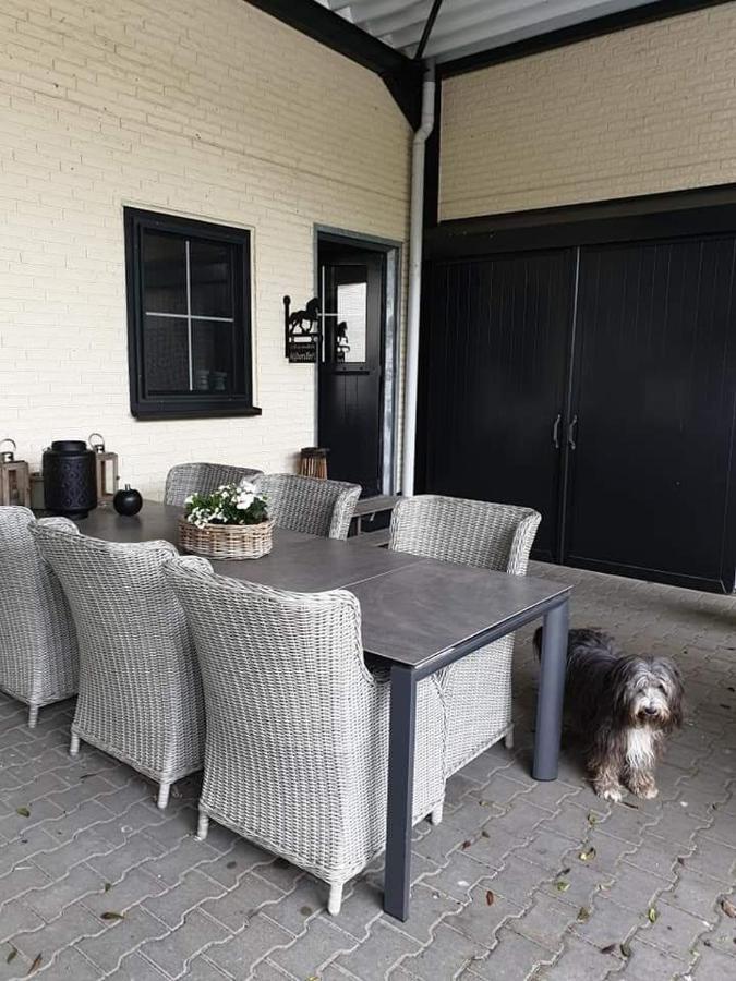 Luxe Gastenkamer Met Living En Keuken Bij Friezen Paarden Stal Pellendijk Westendorp Exteriér fotografie
