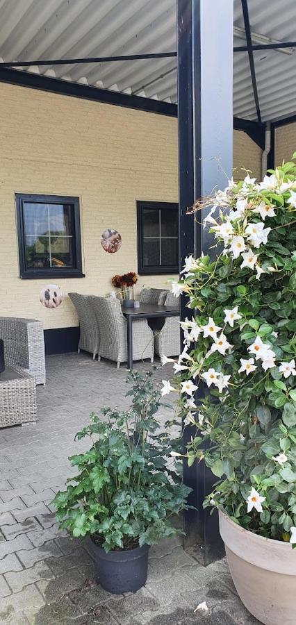 Luxe Gastenkamer Met Living En Keuken Bij Friezen Paarden Stal Pellendijk Westendorp Exteriér fotografie
