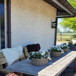 Luxe Gastenkamer Met Living En Keuken Bij Friezen Paarden Stal Pellendijk Westendorp Exteriér fotografie